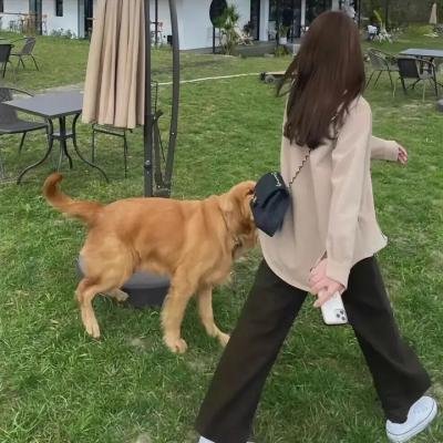 黑色灰姑娘